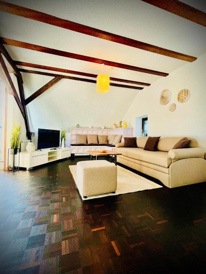 Chris & Aris Ferienwohnung Waldshut Zentrum Zewnętrze zdjęcie